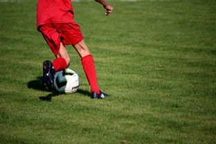 CBA是否鼓励本土教练参与联盟高阶培训体系，cba教练禁赛规定